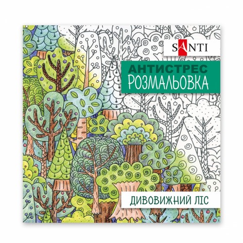 Розмальовка антистрес B5 20арк.Казкові квіти 742910/Santi/