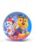 М'яч гумовий 23см Paw patrol,80гр,3види PB2102(300) КІ