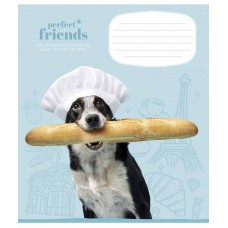 Зошит 12арк. кліт. Школярик Perfect friends 012-3250K(30)(300)