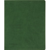 Щоденник шк. шкірзам. B5 CoolForSchool CF29935-04 з тисненням 48арк,зелений(40)