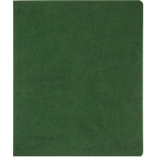 Щоденник шк. шкірзам. B5 CoolForSchool CF29935-04 з тисненням 48арк,зелений(40)