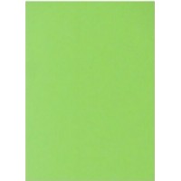 Бумага цветная А4 75 г/м неон Spectra Color Green 321 зеленая (10)