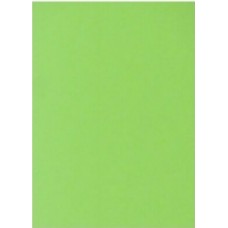 Бумага цветная А4 75 г/м неон Spectra Color Green 321 зеленая (10)