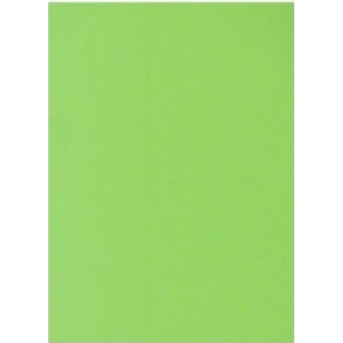 Бумага цветная А4 75 г/м неон Spectra Color Green 321 зеленая (10)