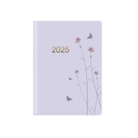 Щоден. A5 Economix дат2025 E21851(20)