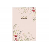 Щоден. A5 Economix дат2025 E21853(20)