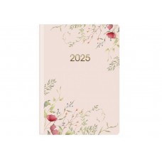 Щоден. A5 Economix дат2025 E21853(20)