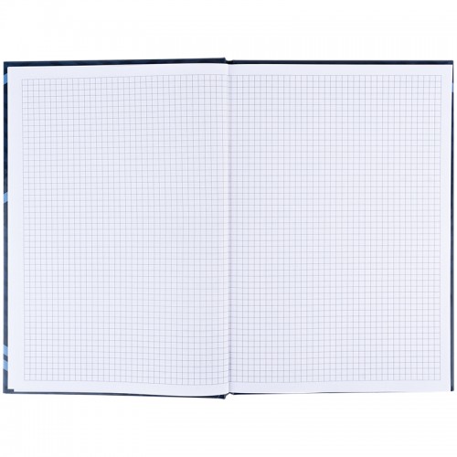 Книга-канц. A4 96арк. кліт. Lines синя 8422-581/Axent/