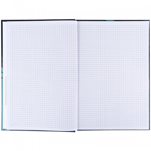 Книга-канц. A4 96арк. кліт. Lines сіра 8422-580/Axent/