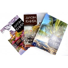 Книга-канц. A4 192арк. кліт. тв. обкл. Business notebook ДК-192-А4/Артпринт/(4)