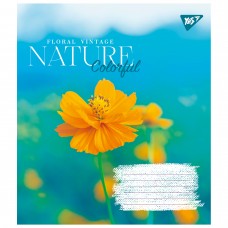 Зошит 24арк. кліт. YES Nature colorful 767020(20)(320)