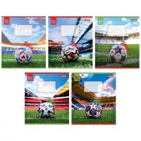 Зошит 24арк. кліт. 1В Win 767008(20)(320)