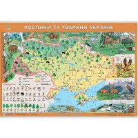 Карта Рослини та тварини України картон,планка 1:3 000 000/ІПТ/