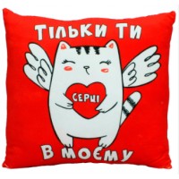 М'яка ігр. "Подушка з принтом №2, вітальна 2" 32x10х32 №00862-0099