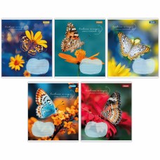Зошит 36арк. кліт. 1В Butterfly 767323(15)(240)