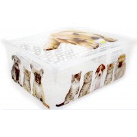 Коробка-бокс пласт. "Qutu Light Box" Cats and Dogs з кришкою 10л №92891