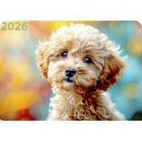 Календар кишеньковий Пудель 2026 Календар кишеньковий Пудель 2026