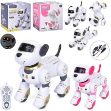 Собака ДК 23см,звук,світло,їздить,2 кольори,акум,USB-зарядне,в кор-ці,28х26х16см BG1533