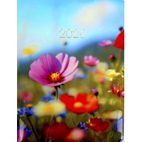 Щоден. A5 Economix дат2026 E21864(20)