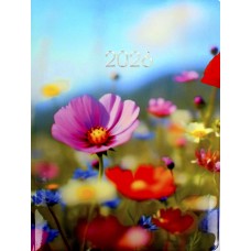 Щоден. A5 Economix дат2026 E21864(20)