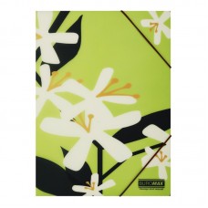 Папка "Buromax" №BM.3908-15 Arabeski А4 на рез. матова,непрозора,салатова(12)