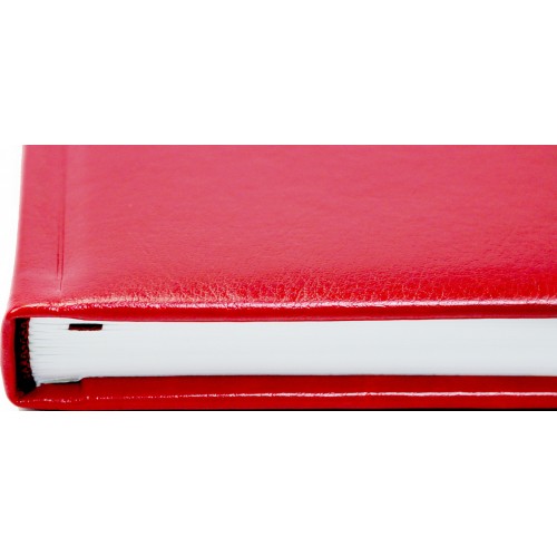 Щоден. А5 "Economix" недат. Nebraska червоний, з тисненням "Герб" №E22061-03(20)