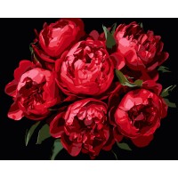 Картини по номерах "Яскраві півонії" 40х50см на чорному фоні №AH1215-11/Strateg/