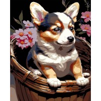 Картини по номерах "Цуценя у кошику" 40х50см на чорному фоні №AH1220-19/Strateg/