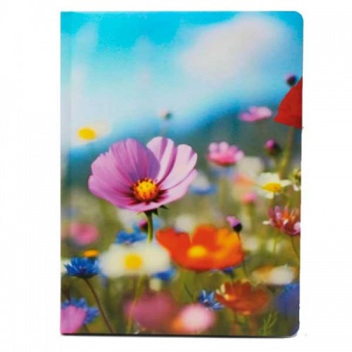 Щоден. A5 Economix недат. E22053(20)