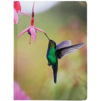 Щоден. A5 Economix недат. E22054(20)