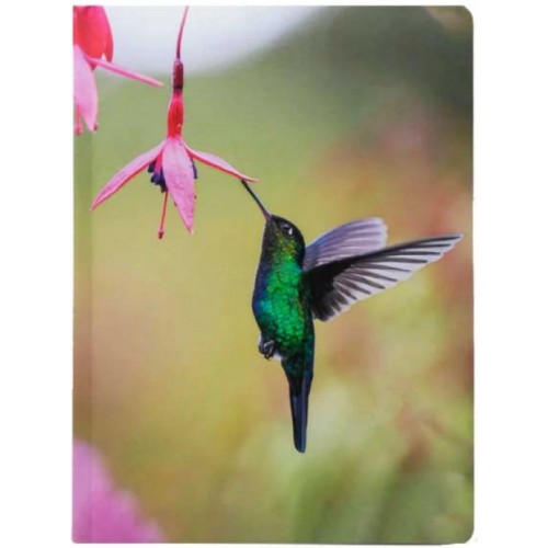 Щоден. A5 Economix недат. E22054(20)