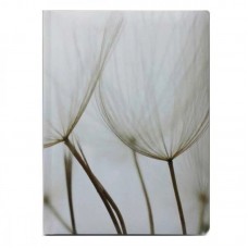 Щоден. A5 Economix недат. E22055(20)