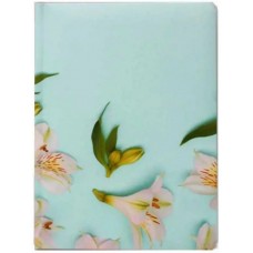 Щоден. A5 Economix недат. E22059(20)