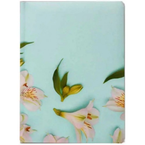 Щоден. A5 Economix недат. E22059(20)