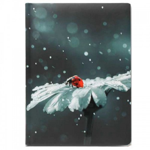 Щоден. A5 Economix недат. E22060(20)