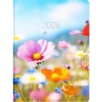 Щоден. A5 Economix дат2026 E21864(20)