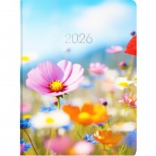 Щоден. A5 Economix дат2026 E21864(20)