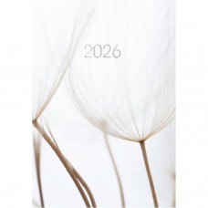 Щоден. A5 Economix дат2026 E21871(20)