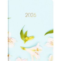 Щоден. A5 Economix дат2026 E21898(20)