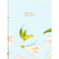 Щоден. A5 Economix дат2026 E21898(20)