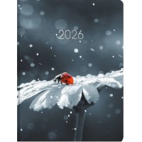 Щоден. A5 Economix дат2026 E21899(20)