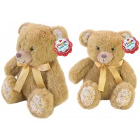 М'яка ігр. Plush and Co ведмежа 30см PLC25012(80) КІ