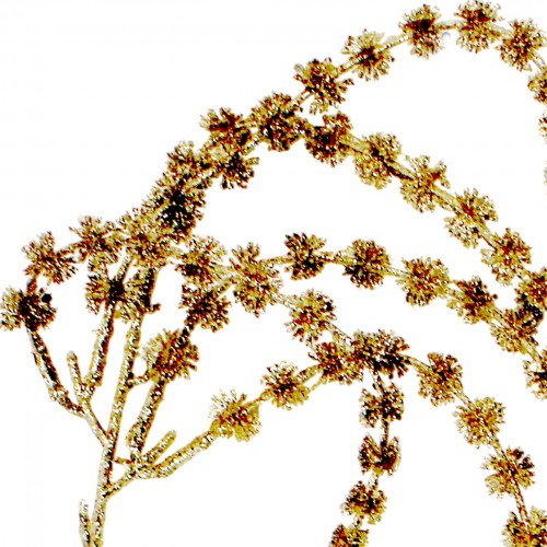 Гілка декор. 80см спадаюча,з глітером,шампань  №839-944/Bonadi/(24)