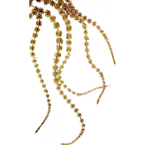 Гілка декор. 80см спадаюча,з глітером,шампань  №839-944/Bonadi/(24)