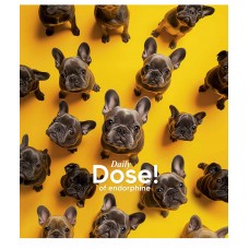 Зошит 36арк. лін. Star УФ-лак 036-3559L(20)(160)