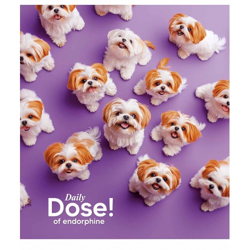 Зошит 36арк. лін. Star УФ-лак 036-3559L(20)(160)