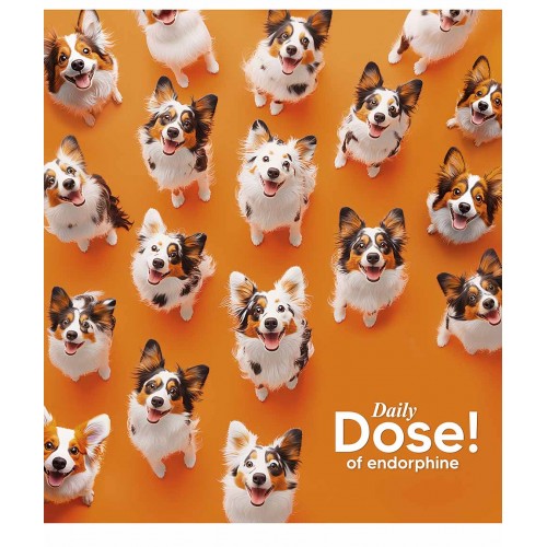 Зошит 36арк. лін. Star УФ-лак 036-3559L(20)(160)