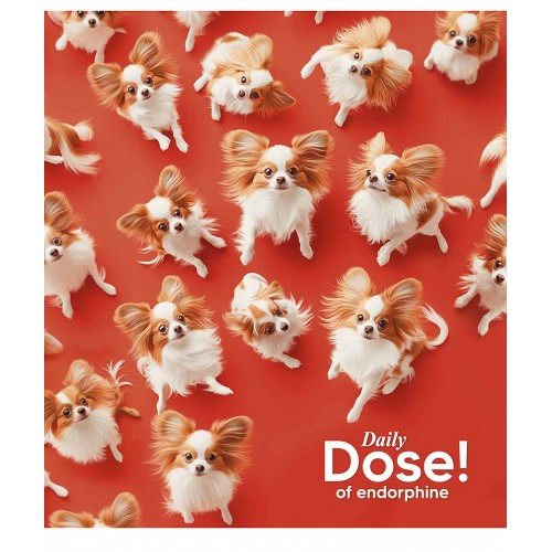 Зошит 36арк. лін. Star УФ-лак 036-3559L(20)(160)