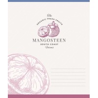 Зошит 24арк. лін. Star ВД-лак №024-3662L(25)(200)