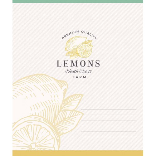 Зошит 24арк. лін. Star ВД-лак №024-3662L(25)(200)